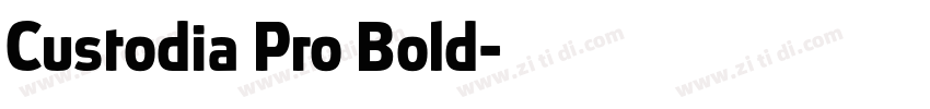 Custodia Pro Bold字体转换